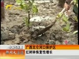 新闻夜总汇 《新闻大通道》 20160606