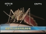 新闻袋袋裤 《新闻袋袋裤》 20130830