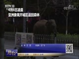 热线12 《热线12》 20180410