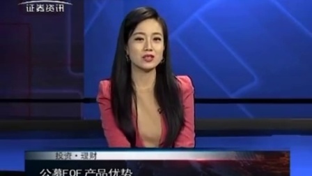 投资理财 2017 孙庭阳基金观察:公募基金的FOF时代(上) 170919
