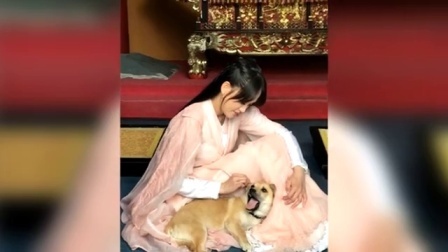 土豆娱乐快报 2017 5月 陈乔恩拯救流浪狗 惊觉一切都是命运的安排 170526