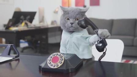 猫男AaronsAnimals 第一季 喵星人遇到的恼人瞬间 你有木有觉得感同身受 30