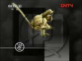 动物世界 《动物世界》 20111125