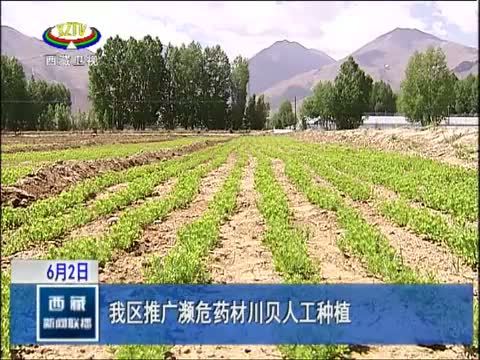 西藏新闻联播 《西藏新闻联播》 20140602