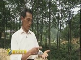 生财有道 《生财有道》 20160720 来自扶贫一线的报道（革命老区行）：走进安徽岳西