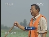 消费主张 《消费主张》 20140801 荷塘美味