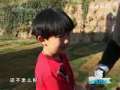 动感特区 动感特区 2009年 第12期