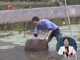 星期天报道 《星期天报道》 20170212