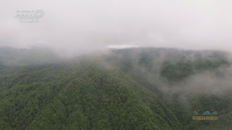 远方的家 《远方的家》 20240708 中国自然秘境 在山间 在水边