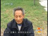 道德观察 道德观察（日播版） 2010年 第196期 彩礼和牛