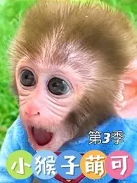 《小猴子萌可 第3季》剧照海报
