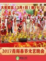 青海卫视2017春晚 海报