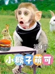 小猴子萌可 第4季 海报