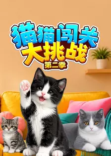 猫猫闯关大挑战 第二季