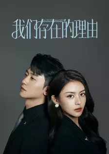 我们存在的理由 海报