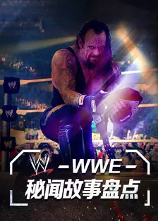 WWE秘闻故事盘点 海报
