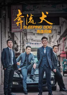《奔流犬：先生归来》剧照海报