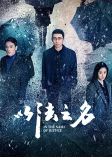 以法之名 海报