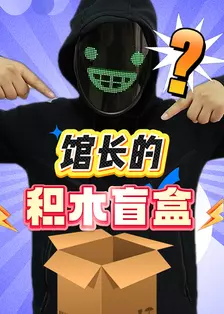 馆长的积木盲盒