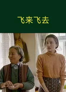 飞来飞去 海报