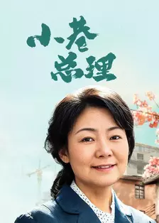 小巷总理 海报