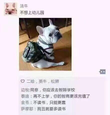 當狗狗們有了朋友圈之後,二哈簡直是狗界