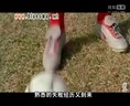 歪歌社团 歪歌社团《国足欢迎你》【第三季】网友怒批国足无缘世界杯《最炫国足疯》