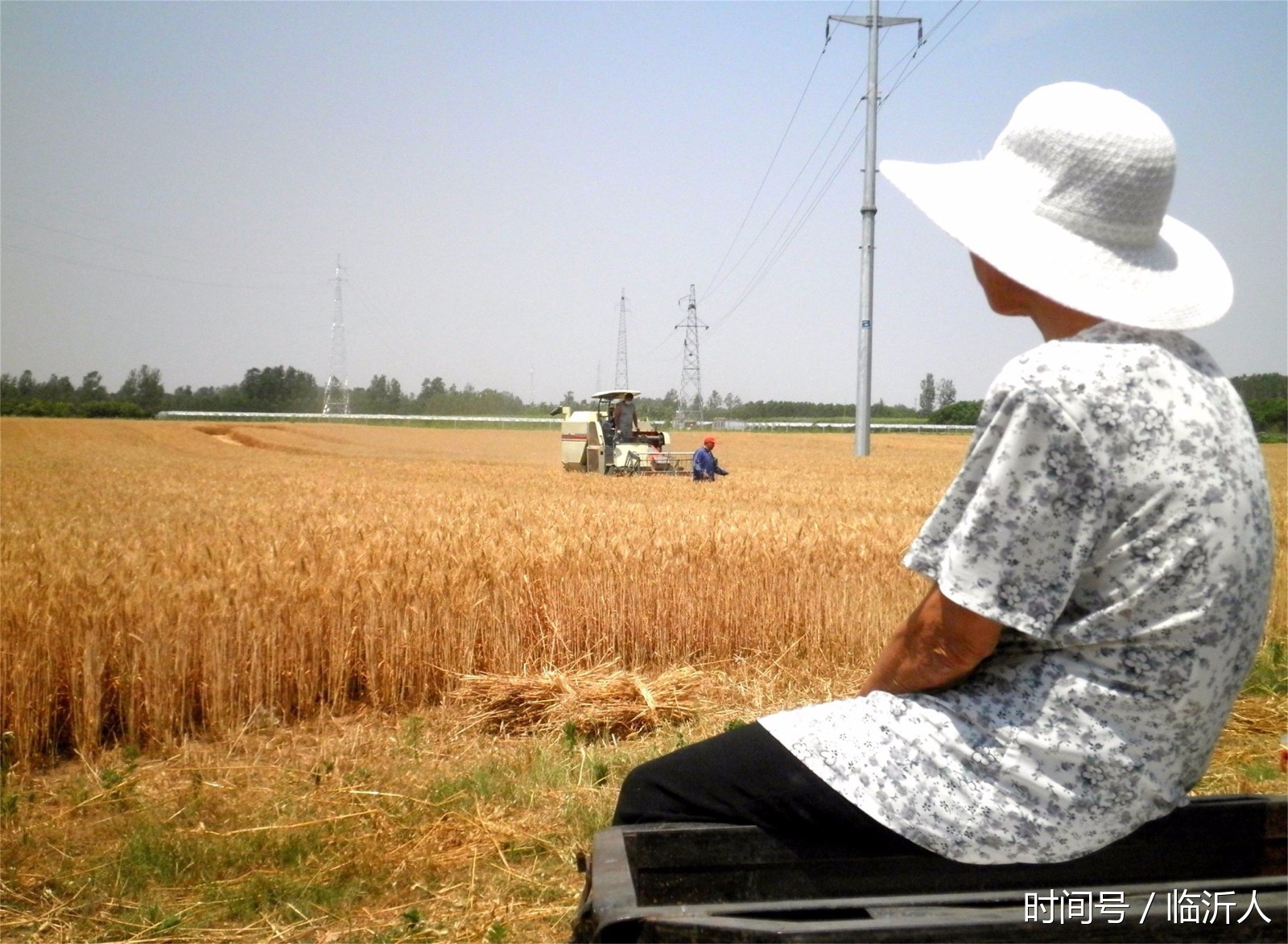 农民享清闲 地头坐收粮