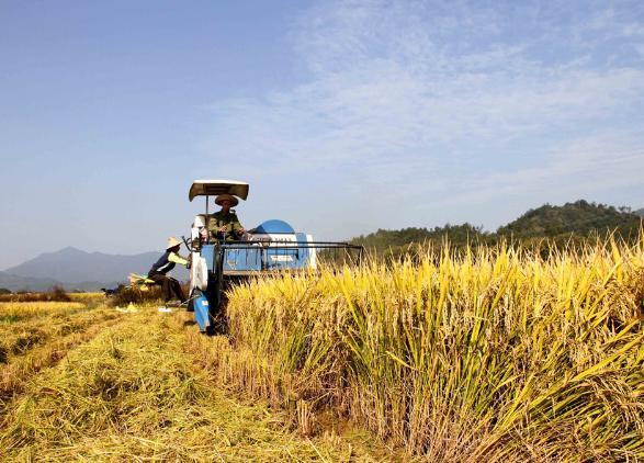 农民要翻身咯,未来,农民将成为令人羡慕职业!