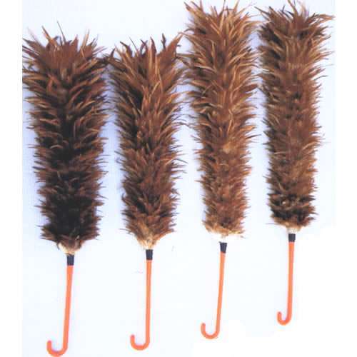 中文名称:鸡毛掸子 外文名称:a feather duster 拼音:jī máo dǎn