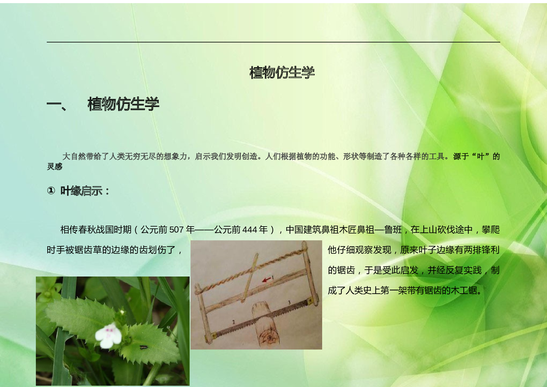 植物仿生学实例 - 360文库