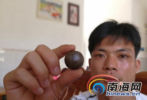 吴先生向记者展示他的"羊宝".