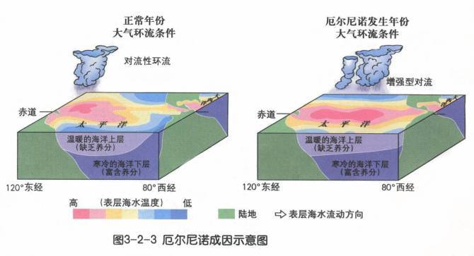 拉尼娜现象就是太平洋中东部海水异常变冷的情况