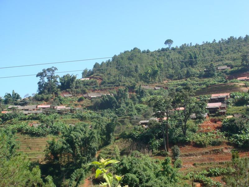 村情概況 大紅毛樹自然村隸屬於富東鄉南滇行政村,屬於山區.