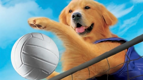 飞狗巴迪3飞狗家族国语