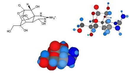 河豚毒素,它是一种化学结构独特,毒性强烈并有广泛药理作用的一种天然