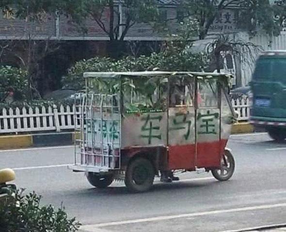 搞笑gif: 练舞的妹子都不容易啊!