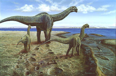 camarasaurus图片